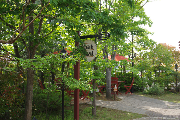 IMGP5559.JPG
