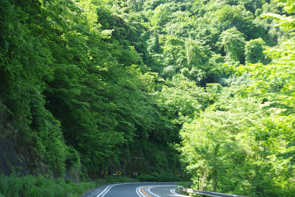 IMGP5729.JPG