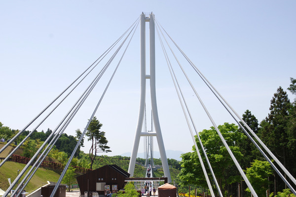 IMGP5752.JPG