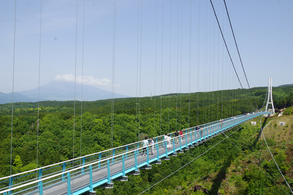 IMGP5787.JPG