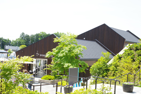 IMGP58122.JPG