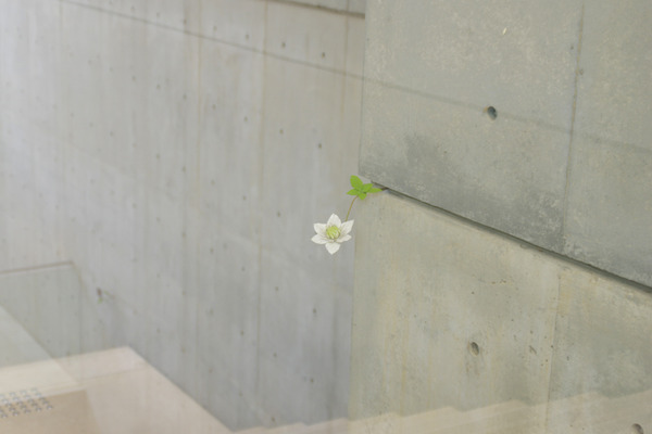 IMGP5886.JPG