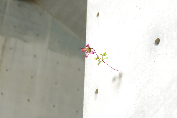 IMGP5907.JPG