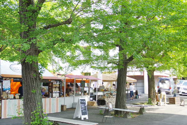 IMGP6110.JPG