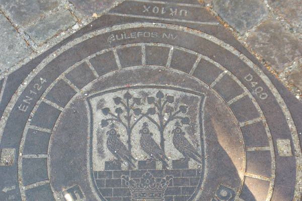 IMGP6257.JPG