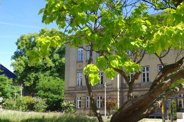 IMGP6261.JPG