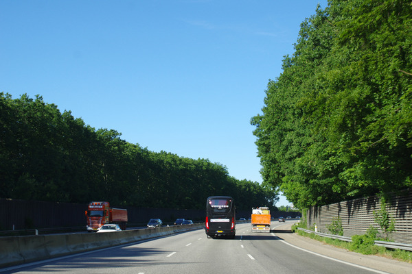 IMGP6379.JPG
