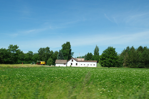IMGP6383.JPG