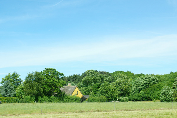 IMGP6391.JPG