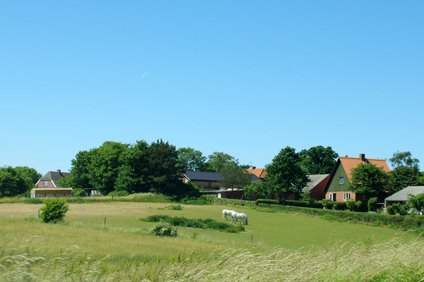 IMGP6399.JPG