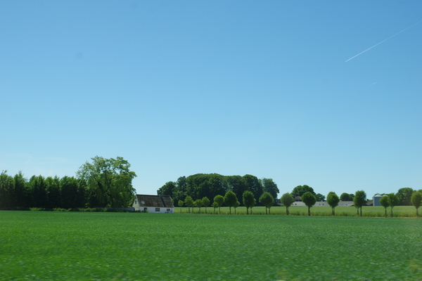 IMGP6429.JPG