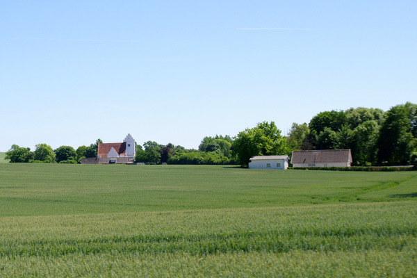 IMGP6436.JPG