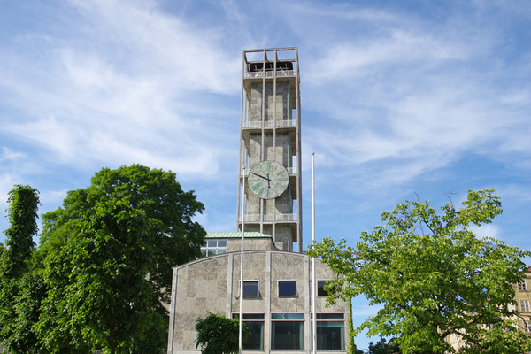 IMGP6540.JPG
