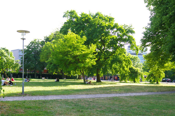 IMGP6548.JPG