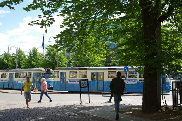 IMGP6844.JPG