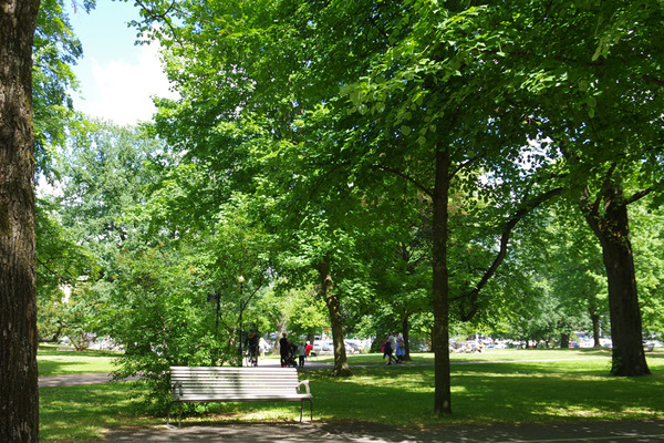IMGP6897.JPG