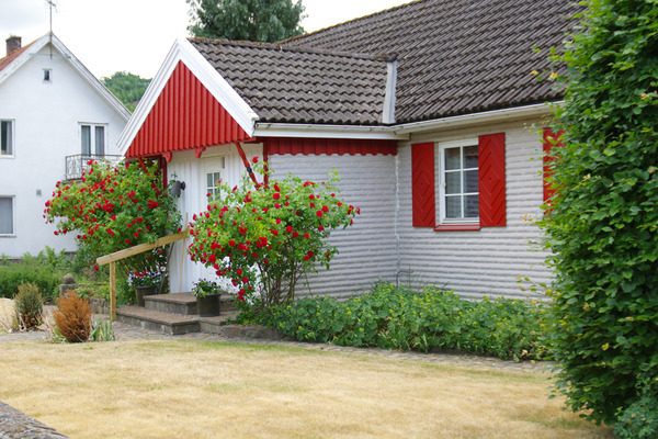 IMGP6974.JPG