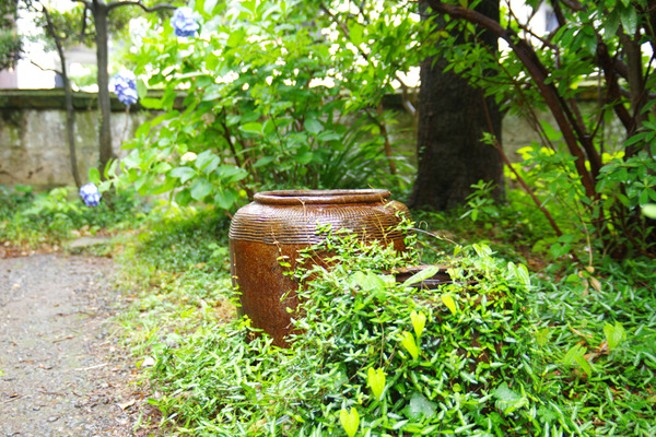 IMGP72113.JPG