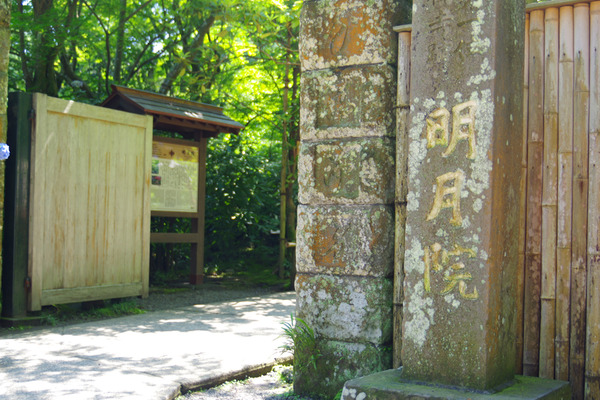 IMGP7251.JPG