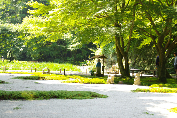 IMGP7306.JPG