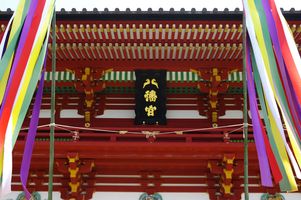 IMGP7383.JPG