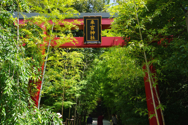 IMGP7640.JPG