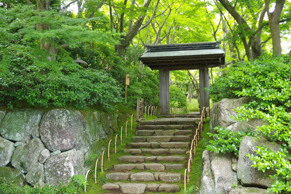 IMGP7759.JPG