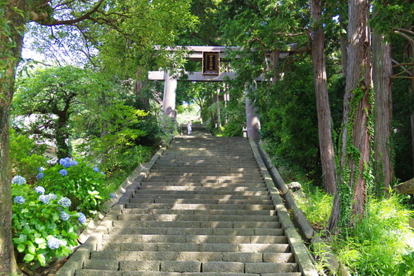IMGP78727.JPG