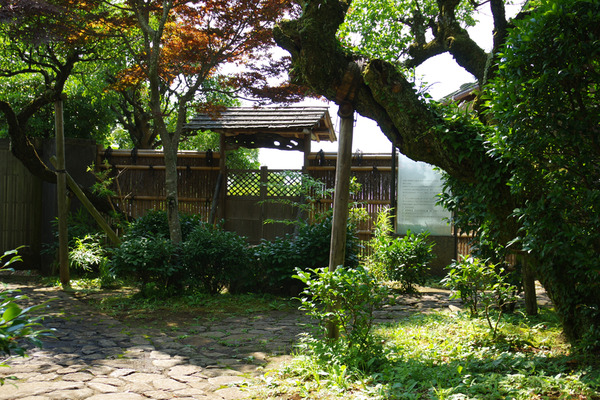 IMGP79022.JPG