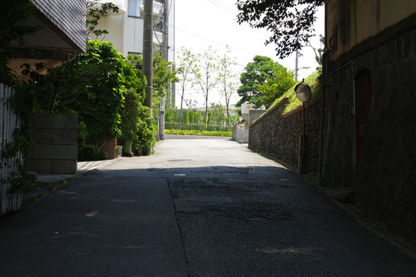 IMGP79123.JPG