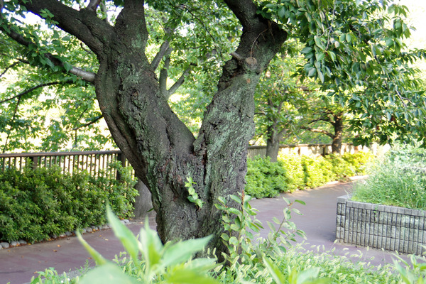 IMGP82316.JPG