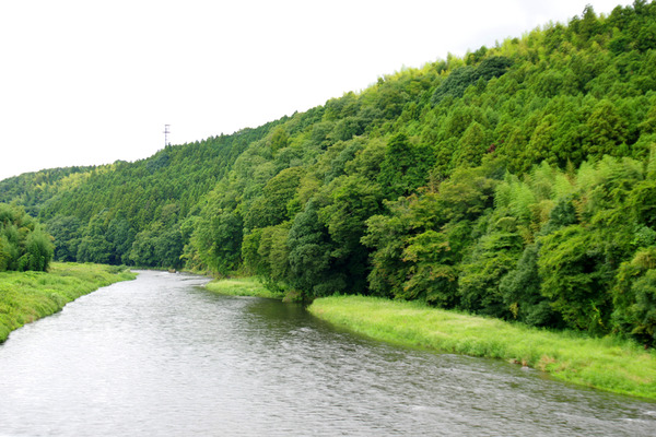 IMGP8868.JPG