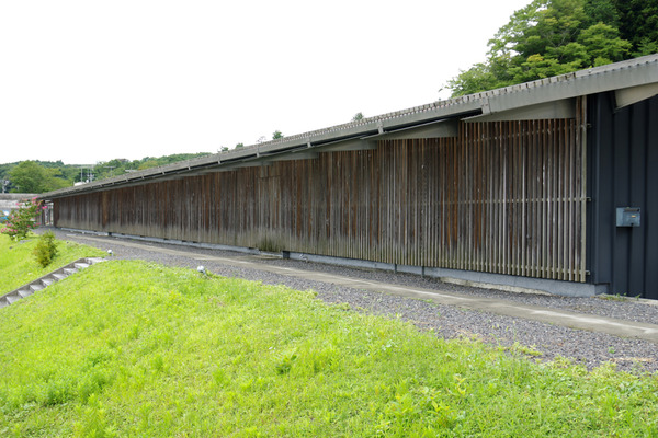 IMGP8875.JPG