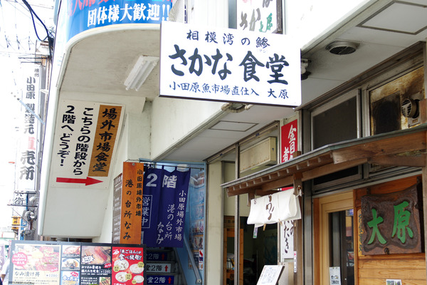 IMGP91161.JPG