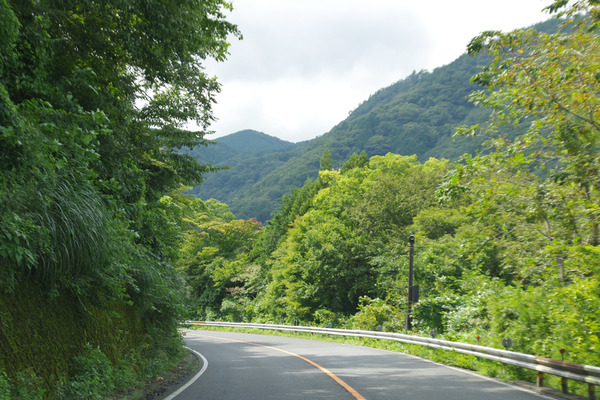 IMGP91511.JPG