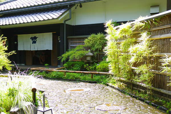 IMGP91571.JPG