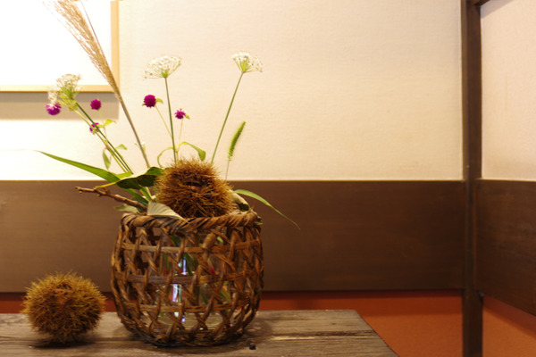 IMGP91621.JPG