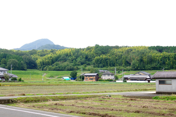 IMGP9228.JPG