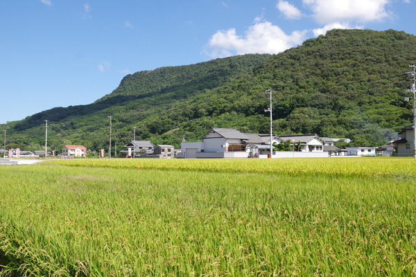 IMGP9823.JPG