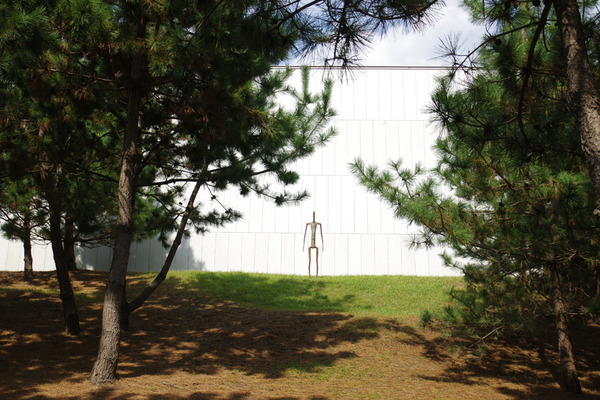 IMGP0196.JPG