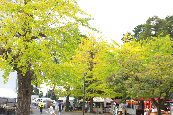 IMGP0496.JPG