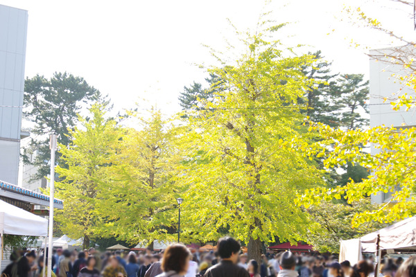 IMGP05211.JPG