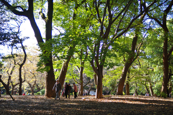 IMGP0665.JPG