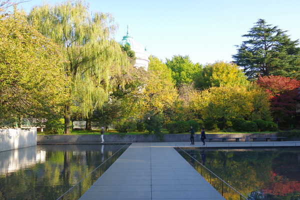 IMGP0746.JPG