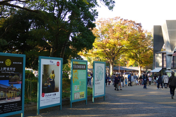 IMGP0771.JPG