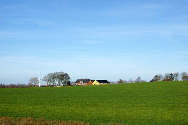 IMGP2118.JPG