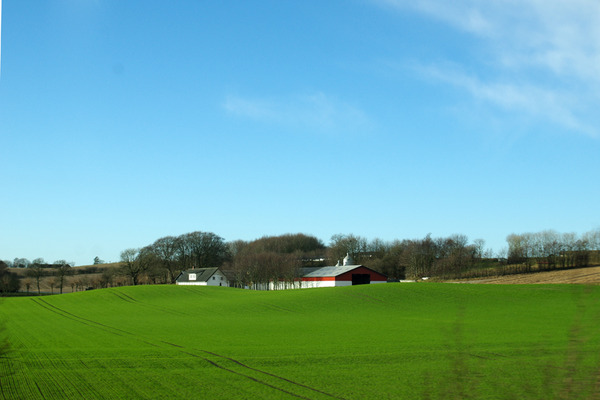 IMGP2339.JPG