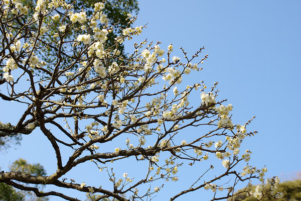 IMGP2849.JPG