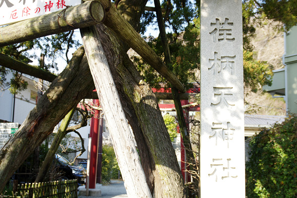 IMGP2856.JPG