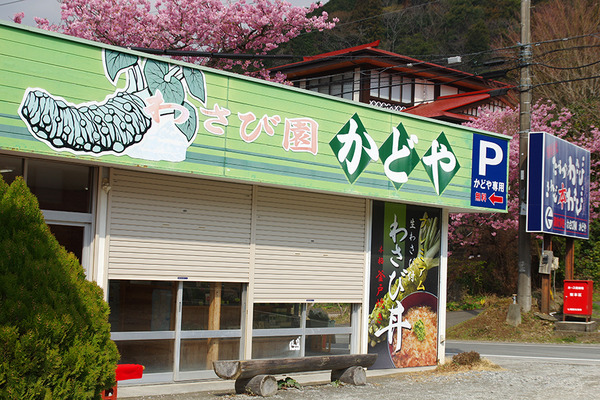 IMGP3067.JPG
